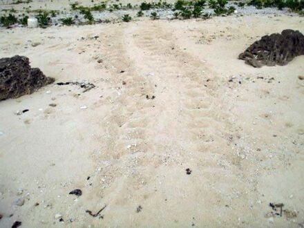 民宿なかた荘　＜黒島＞ 写真