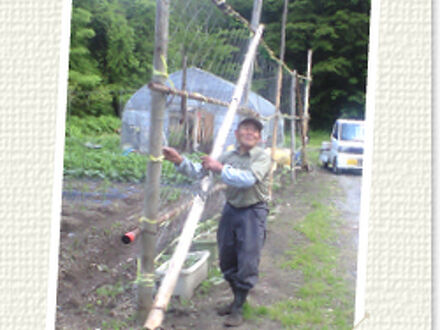 民宿　春山荘 写真