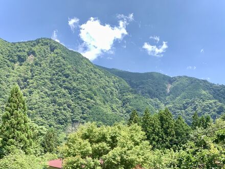 静岡温泉 貸切風呂 大野木荘 写真