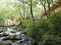 「蔵王の森」がつくる美と健康の温泉宿　ゆと森倶楽部 写真