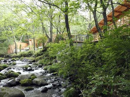 「蔵王の森」がつくる美と健康の温泉宿　ゆと森倶楽部 写真