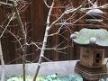 旅館京らく 写真