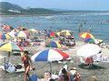 岬ペンション ガジュマル 写真