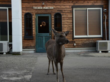 ザ・ディアパークイン 写真