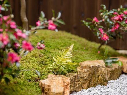 RESI STAY Villa Silktree 写真