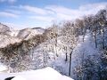 二股らじうむ温泉旅館 写真