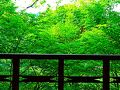 三鳩楼 写真
