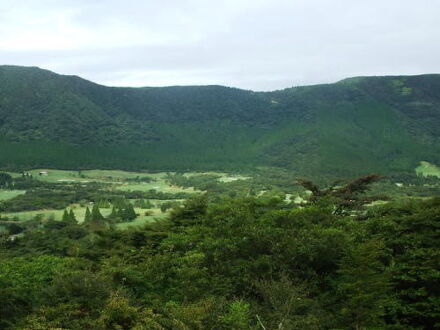 仙石原温泉　伊藤山荘 写真