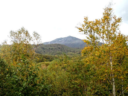 フリーダムイン 写真