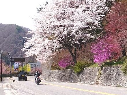 料理旅館むらさわ 写真