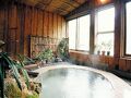 赤城温泉　花の宿　湯之沢館 写真