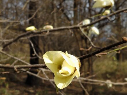 カサ・デ・ポコ 写真