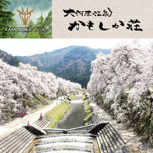 写真：楽天トラベル