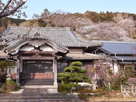 宿坊対馬西山寺 写真