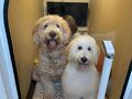 ペットと泊まれる宿Ugo 写真