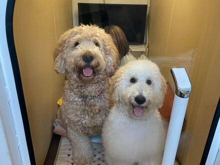 ペットと泊まれる宿Ugo 写真