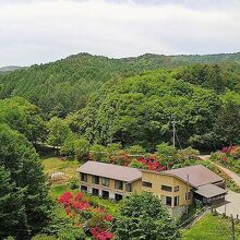 写真：楽天トラベル