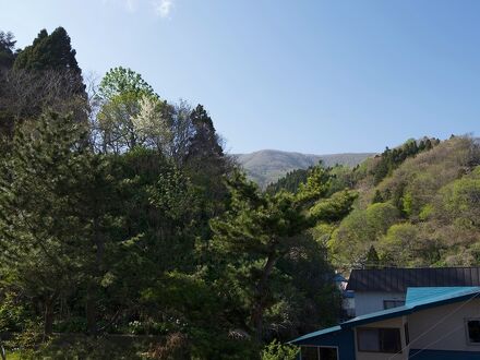 ニウロコ村上屋 写真