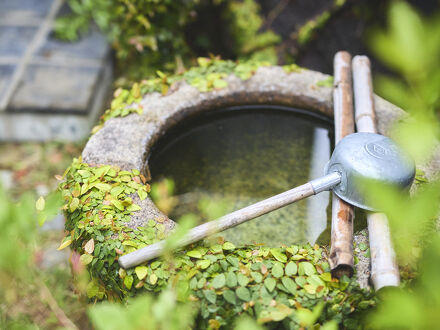 NIPPONIA 仁尾 水鏡の町 写真