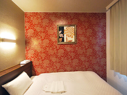 Park Hotel PINZA 写真