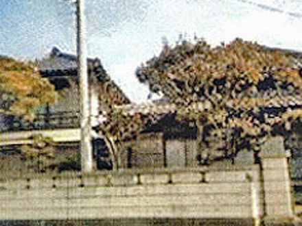 丸善 写真