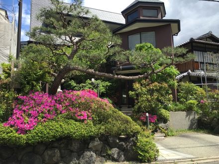 花ノ坊　金閣寺道 写真