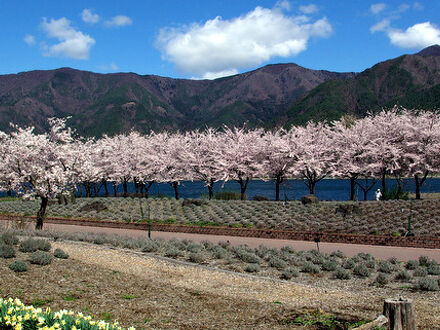 富士河口湖温泉 外川荘 写真