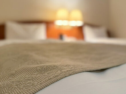 ホテル橋本楼 写真