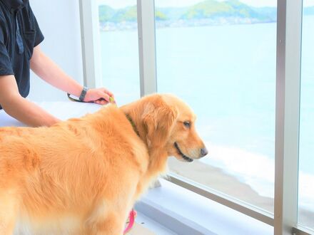 レジーナリゾート鴨川 写真