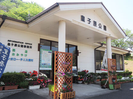 皇子原公園 写真