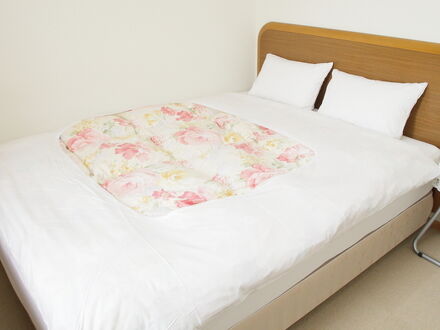 ホテル２４（ＮＩＳＨＩ）ＩＮ富士山 写真