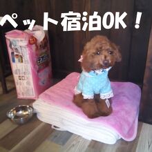 写真：楽天トラベル