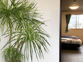 コンドホテル JOY INN 写真
