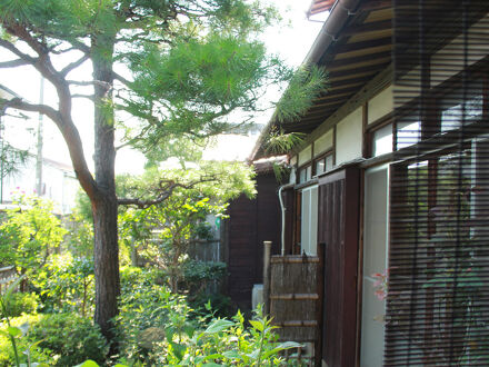 松の家旅館 写真