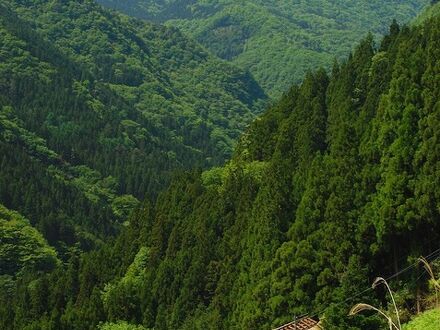 桃源郷 祖谷の山里 写真