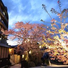 写真：楽天トラベル