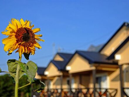 屋久島 コテージ森のフェアリー 写真