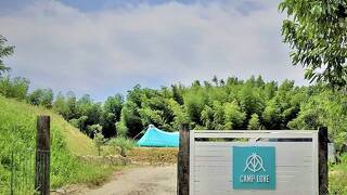 CAMP LOVE