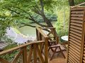 ６月の森 オーベルジュ 写真