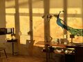 Hotel CASA VICO 写真