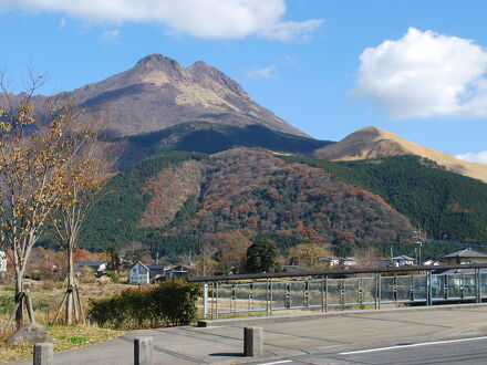 由布院温泉 旅館 百合 写真
