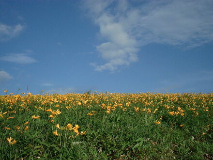 蓼科高原 ヴィラB＆Bホテル 写真