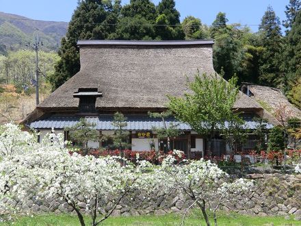 茅葺の里　白谷荘 写真