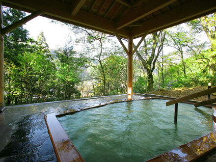 元祖うなぎ湯の宿ゆさや 写真