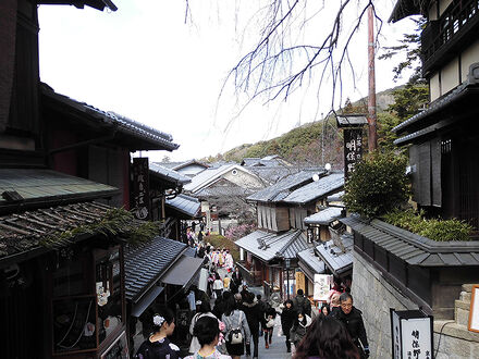 花とうろ　Ｓｔａｙ　八坂の塔 写真