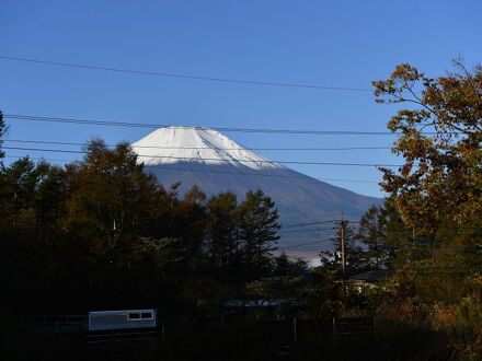 鉄板焼き＆ワインの旬宿　夢野樹 写真