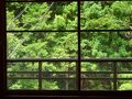 龍神温泉　上御殿 写真