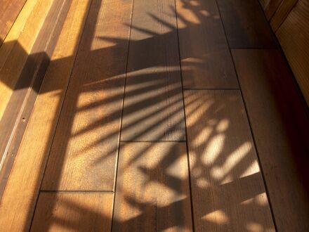 moons cafe 写真