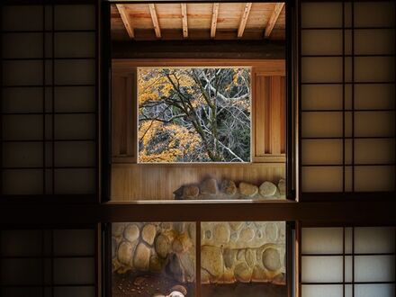 湯屋温泉　炭酸泉の宿　泉岳舘 写真