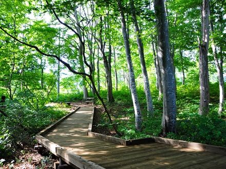 なべくら高原 森の家 写真